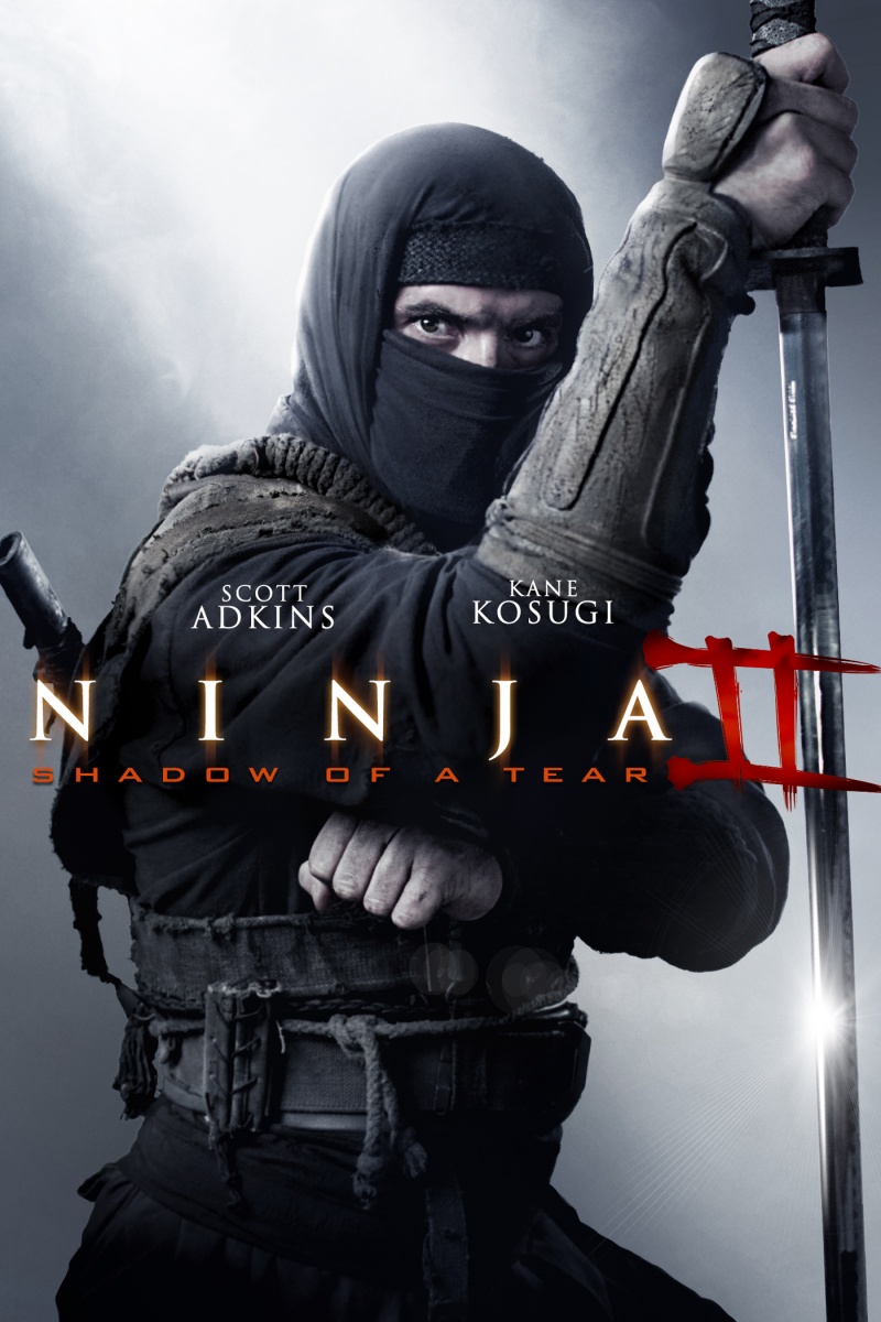 Ниндзя 2 (2013)