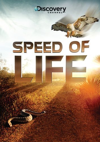 Скорость жизни / Speed of Life (2010)