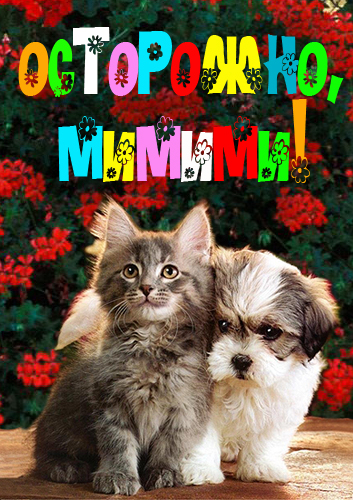 Осторожно, мимими! / Carefully, mimy! (2013) 