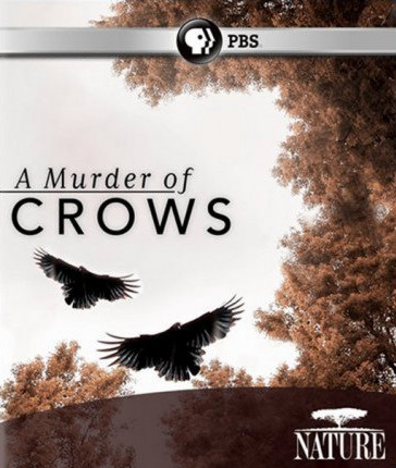 Воронья стая / A Murder of Crows (2010)