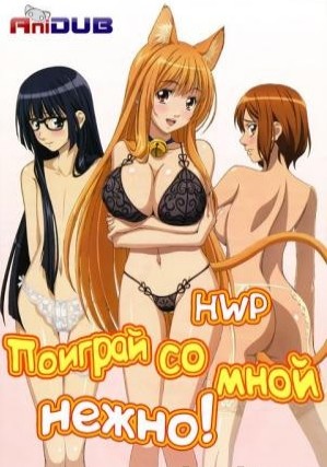 Давайте играть! / Поиграй со мной нежно Asobi ni Iku yo! (2010)