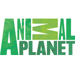 Animal Planet