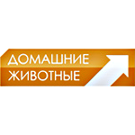 Домашние Животные