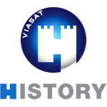 Viasat History