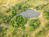 Африка - Africa, Mashatu Game Reserve, Botswana / веб-камеры онлайн