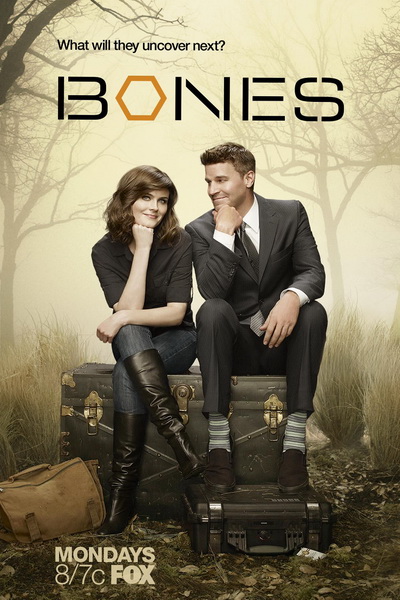 Кости. 10 Сезон / Bones (2014)