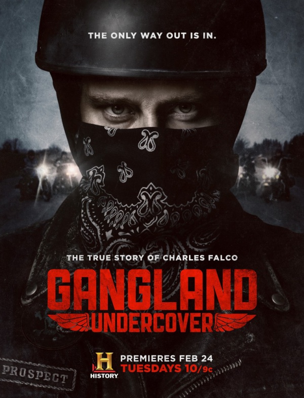 Под прикрытием / Gangland Undercover  (2015)