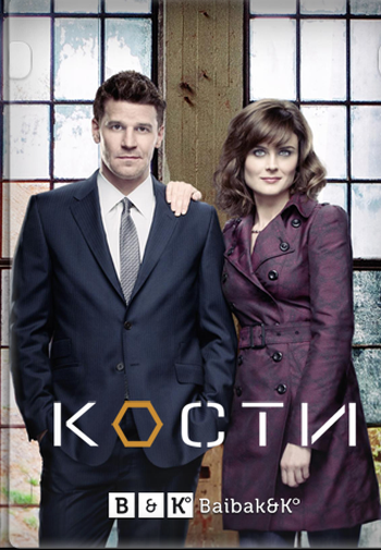 Кости 9 сезон  (2013)