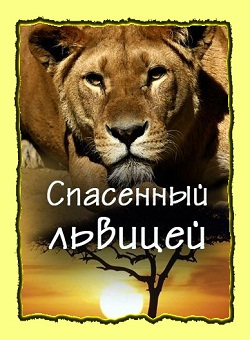 National Geographic: Спасённый львицей (2011)