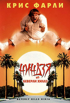 Ниндзя из Беверли Хиллз / Beverly Hills Ninja (1997)