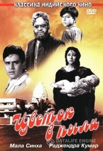 Цветок в пыли (1959)