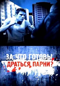 За что готовы драться парни? (2012)
