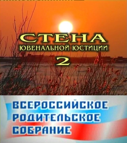 Стена ювенальной юстиции (2012)