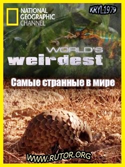 Самые странные в мире (2010)