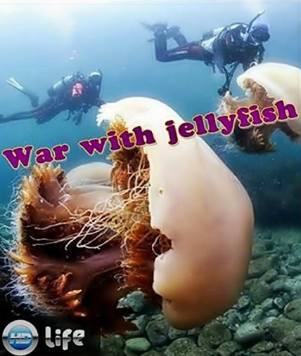 Война с медузами / War with jellyfish (2012)
