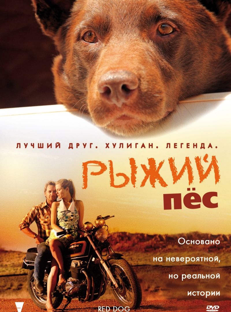 Рыжий пес (2011)