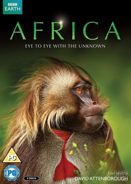 Африка / Africa (2013)
