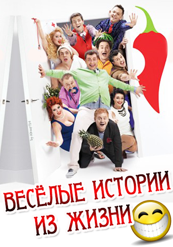 Весёлые истории из жизни (2013)