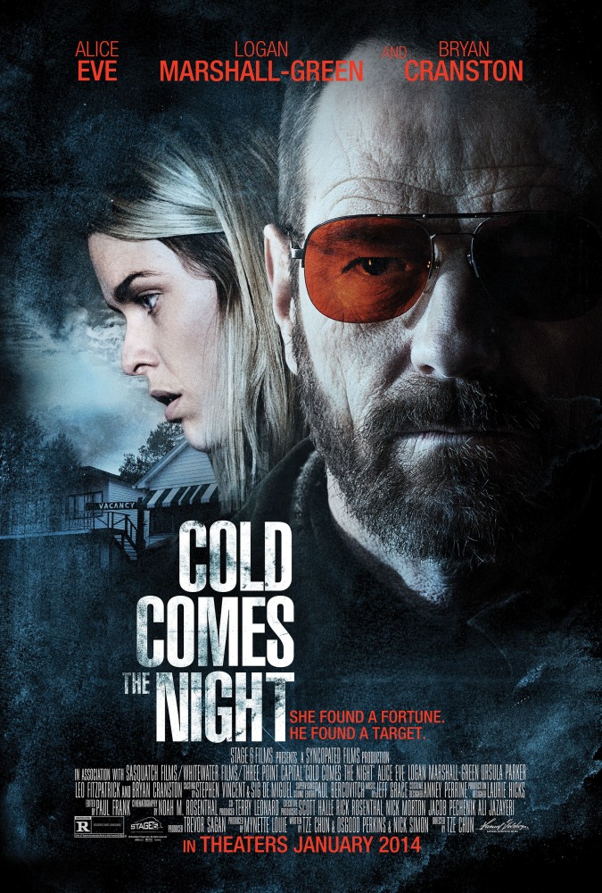 Взгляд зимы / Холод приходит ночью / Cold Comes the Night (2013)