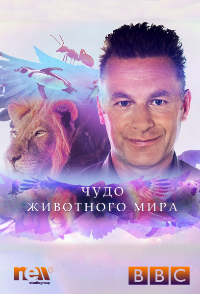 Чудо животного мира / Wonder of Animals (2014)
